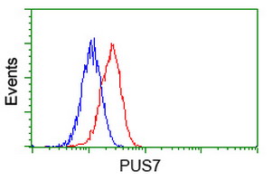 m13434 anti pus7 mouse monoclonal antibody clone id oti4c6 flow cytometry testing 5