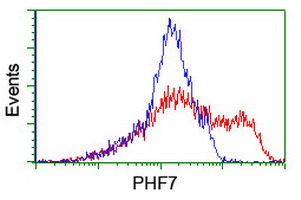 m13454 anti phf7 mouse monoclonal antibody clone id oti1g9 flow cytometry testing 13