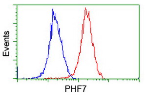 m13454 anti phf7 mouse monoclonal antibody clone id oti1g9 flow cytometry testing 14