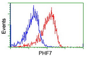 m13454 anti phf7 mouse monoclonal antibody clone id oti1g9 flow cytometry testing 15