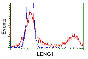 m13518 anti leng1 mouse monoclonal antibody clone id oti10a7 flow cytometry testing 13