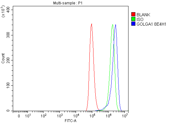  Flow Cytometry analysis of A549 cells using anti-Golgin 97/GOLGA1 antibody (M13524-1)