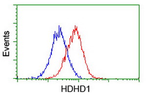 m13748 anti hdhd1a pudp mouse monoclonal antibody clone id oti7a2 flow cytometry testing 12