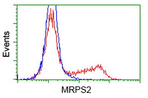 HEK293T cells transfected with either MRPS2 (Myc-DDK-tagged) overexpress plasmid (Red) or empty vector control plasmid (Blue) were immunostained by anti-MRPS2 antibody (M13824)