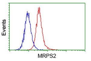 m13824 anti mrps2 mouse monoclonal antibody clone id oti4d6 flow cytometry testing 4