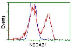 m13973 anti necab1 mouse monoclonal antibody clone id oti2h5 flow cytometry testing 4