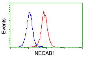 m13973 anti necab1 mouse monoclonal antibody clone id oti2h5 flow cytometry testing 5