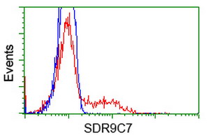 m13978 anti sdr o sdr9c7 mouse monoclonal antibody clone id oti4b5 flow cytometry testing 6