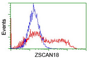 HEK293T cells transfected with either ZSCAN18 (Myc-DDK-tagged) overexpress plasmid (Red) or empty vector control plasmid (Blue) were immunostained by anti-ZSCAN18 antibody (M14039)
