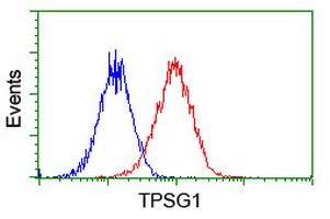 m14320 anti tpsg1 mouse monoclonal antibody clone id oti1g1 flow cytometry testing 5