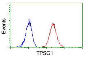 m14320 anti tpsg1 mouse monoclonal antibody clone id oti1g1 flow cytometry testing 6
