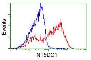 m14395 1 anti nt5dc1 mouse monoclonal antibody clone id oti3h2 flow cytometry testing 17