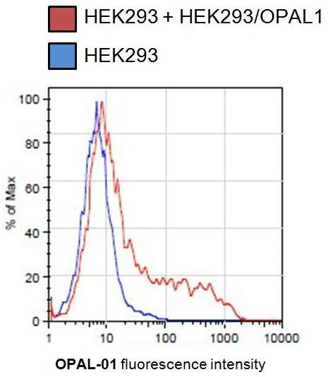 m14439 opal1 primary antibodies fc testing 2