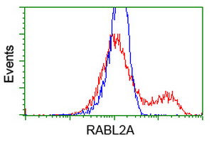 HEK293T cells transfected with either RABL2A (Myc-DDK-tagged) overexpress plasmid (Red) or empty vector control plasmid (Blue) were immunostained by anti-RABL2A antibody (M14567)