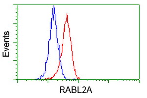 m14567 anti rabl2a mouse monoclonal antibody clone id oti4a8 flow cytometry testing 4