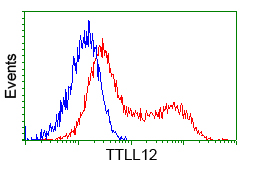 m14589 anti ttll12 mouse monoclonal antibody clone id oti4b2 flow cytometry testing 18