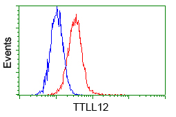 m14589 anti ttll12 mouse monoclonal antibody clone id oti4b2 flow cytometry testing 19