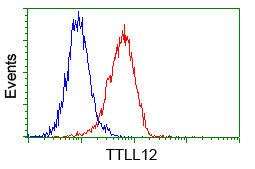 m14589 anti ttll12 mouse monoclonal antibody clone id oti4b2 flow cytometry testing 20