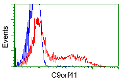 m14721 2 anti c9orf41 carnmt1 mouse monoclonal antibody clone id oti6e4 flow cytometry testing 4