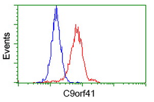 Flow cytometric Analysis of Hela cells