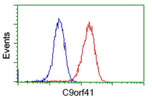 m14721 anti c9orf41 carnmt1 mouse monoclonal antibody clone id oti4a2 flow cytometry testing 4