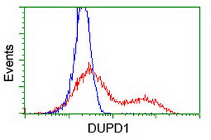 m14857 anti dusp27 dupd1 mouse monoclonal antibody clone id oti6c6 flow cytometry testing 2
