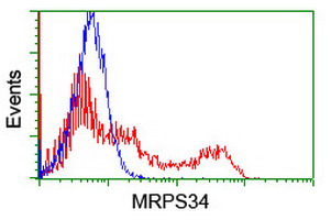 HEK293T cells transfected with either MRPS34 (Myc-DDK-tagged) overexpress plasmid (Red) or empty vector control plasmid (Blue) were immunostained by anti-MRPS34 antibody (M14945-1)