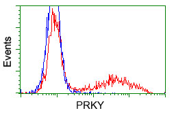 m14965 1 anti protein kinase y linked prky mouse monoclonal antibody clone id oti3d11 flow cytometry testing 1