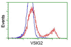 m15033 anti vsig2 mouse monoclonal antibody clone id oti2d8 flow cytometry testing 4