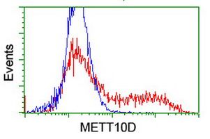 HEK293T cells transfected with either overexpress plasmid (Red) or empty vector control plasmid (Blue) were immunostained by anti-METT10D antibody (M15345-1), and then analyzed by flow cytometry