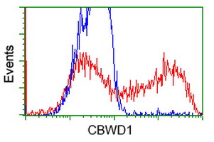 m15555 anti cbwd1 mouse monoclonal antibody clone id oti3f9 flow cytometry testing 15