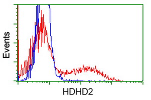 m15632 anti hdhd2 mouse monoclonal antibody clone id oti4g3 flow cytometry testing 3