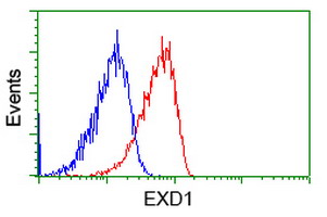 m15906 1 anti exdl1 exd1 mouse monoclonal antibody clone id oti5b5 flow cytometry testing 2