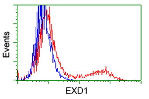 m15906 anti exdl1 exd1 mouse monoclonal antibody clone id oti2g5 flow cytometry testing 3
