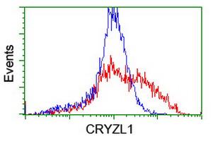 m16122 anti cryzl1 mouse monoclonal antibody clone id oti2f9 flow cytometry testing 12