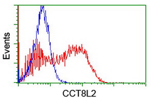 m16124 2 anti cesk1 cct8l2 mouse monoclonal antibody clone id oti4b10 flow cytometry testing 4