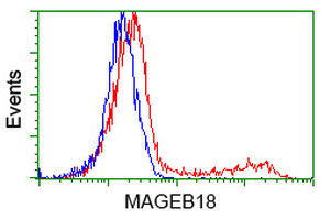 m16185 anti mageb18 mouse monoclonal antibody clone id oti1f5 flow cytometry testing 2