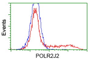 m16330 anti polr2j2 mouse monoclonal antibody clone id oti3g4 flow cytometry testing 3