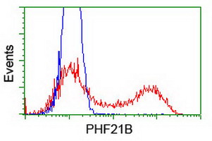 m16476 anti phf21b mouse monoclonal antibody clone id oti3d1 flow cytometry testing 10