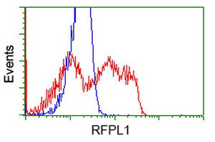 HEK293T cells transfected with either RFPL1 (Myc-DDK-tagged) overexpress plasmid (Red) or empty vector control plasmid (Blue) were immunostained by anti-RFPL1 antibody (M16730)