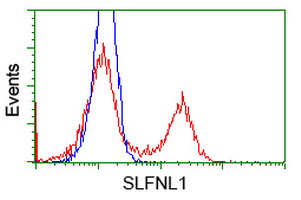 m16928 anti slfnl1 mouse monoclonal antibody clone id oti4e5 flow cytometry testing 2