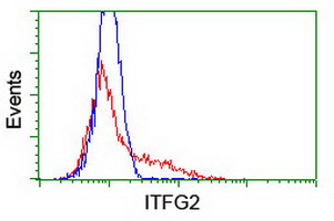 HEK293T cells transfected with either ITFG2 (Myc-DDK-tagged) overexpress plasmid (Red) or empty vector control plasmid (Blue) were immunostained by anti-ITFG2 antibody (M17225)
