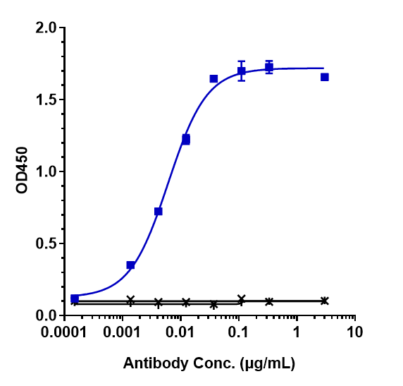 Immobilized human CTGF His at 2 &mug/mL can bind Anti-CCN2/CTGF Reference Antibody (pamrevlumab)