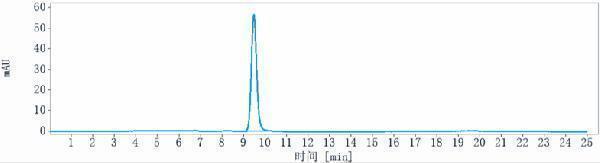 The purity of Anti-CCN2/CTGF Reference Antibody (pamrevlumab)is more than 100%