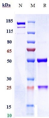 m30379 2 sds page
