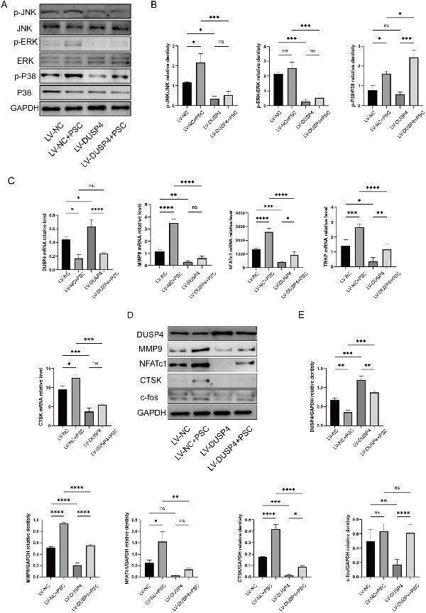 m30480 fmicb 16 1558603 g005