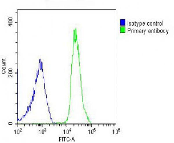 Overlay histogram showing U-2OS cells stained with M30823 (green line). The cells were fixed with 2% paraformaldehyde (10 min) and then permeabilized with 90% methanol for 10 min. The cells were then icubated in 2% bovine serum albumin to block non-specific protein-protein interactions followed by the antibody (M30823, 1:25 dilution) for 60 min at 37C. The secondary antibody used was Goat-Anti-Rabbit IgG, DyLight® 488 Conjugated Highly Cross-Adsorbed at 1/200 dilution for 40 min at 37C. Isotype control antibody (blue line) was rabbit IgG (1microg/1x10^6 cells) used under the same conditions. Acquisition of >10, 000 events was performed. Overlay histogram showing U-2OS cells stained with M30823 (green line). The cells were fixed with 2% paraformaldehyde (10 min) and then permeabilized with 90% methanol for 10 min. The cells were then icubated in 2% bovine serum albumin to block non-specific protein-protein interactions followed by the antibody (M30823, 1:25 dilution) for 60 min at 37C. The secondary antibody used was Goat-Anti-Rabbit IgG, DyLight® 488 Conjugated Highly Cross-Adsorbed at 1/200 dilution for 40 min at 37C. Isotype control antibody (blue line) was rabbit IgG (1microg/1x10^6 cells) used under the same conditions. Acquisition of >10, 000 events was performed.