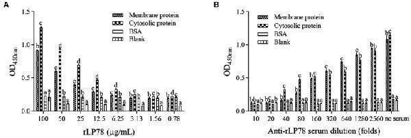 Activity of rLP78 to adhere to membrane proteins of DF-1 cells