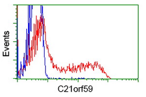 HEK293T cells transfected with either C21orf59 (Myc-DDK-tagged) overexpress plasmid (Red) or empty vector control plasmid (Blue) were immunostained by anti-C21orf59 antibody (M31662)