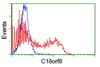 HEK293T cells transfected with either overexpress plasmid (Red) or empty vector control plasmid (Blue) were immunostained by anti-RMC1 antibody (M31818), and then analyzed by flow cytometry